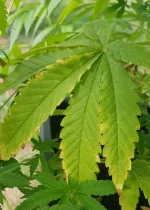 20190827_113141.webp