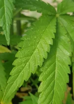 20190827_113144.webp