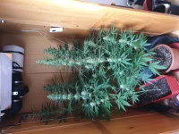 20190803_084114.webp