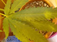 20190803_124215.webp