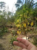IMG_20190816_163528.webp