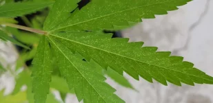 20190922_134656.webp