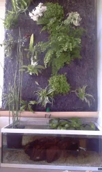 IMAG5061.webp