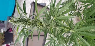 20190923_164514.webp