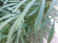 20190930_182723.webp