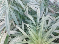 20190930_182654.webp