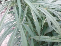 20190930_182644.webp
