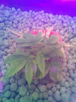 2019-10-17 13.39.07.webp