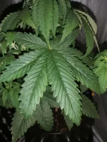 20190930_223334.webp 20190930_223334.webp