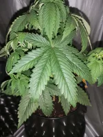 20190930_223337.webp 20190930_223337.webp