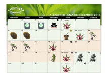 calendrier_lunaie_décembre_2019_A4.webp
