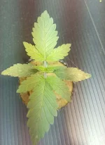 20191021_195015.webp
