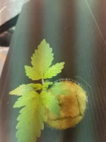 20191021_194423.webp