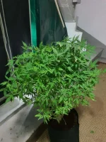 20191109_094640[1].webp