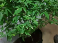 20191109_094650[1].webp
