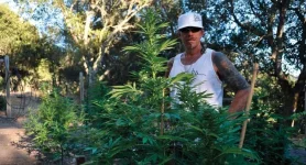 Grow_Subcool_post_header_June-1110x600.webp