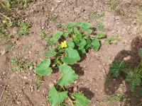 IMG_20140627_105926.webp