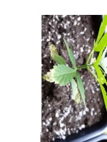 20140609_163334.webp