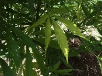 IMG_1605.webp IMG_1605.webp