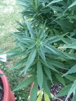 IMG_1679.webp IMG_1679.webp