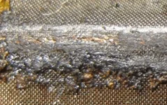 IMG_1717 cw2.webp