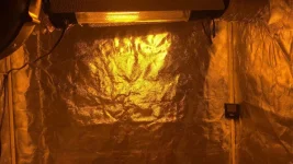 Image-1.webp