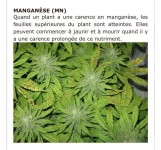 19221251-9CDE-4BB6-BF56-C1D0ACA1A10D.webp