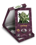 sensi-skunk-xl-3.webp
