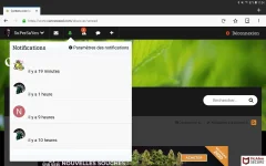 Screenshot_20200324-110501_Firefox.webp