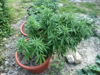 IMG_1622.webp IMG_1622.webp