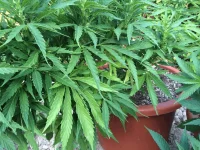 IMG_1625.webp IMG_1625.webp