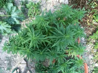 IMG_1627.webp IMG_1627.webp