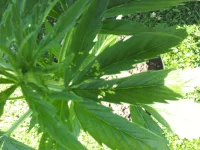 20140703_174023.webp