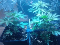 Photo0078.webp