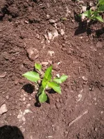 IMG_20140707_133655.webp