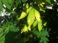 IMG_0723.webp IMG_0723.webp