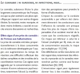 cannabis.webp cannabis.webp