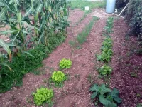 IMG_20140820_193852.webp