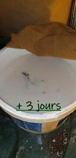 thumbnail (3) - Copie.webp thumbnail (3) - Copie.webp