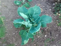 IMG_20140907_191049.webp