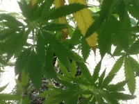 image.webp image.webp