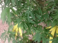 image.webp image.webp