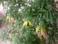 image.webp image.webp
