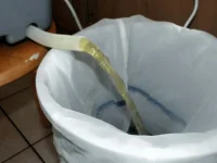 DSCF8529.webp