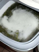 DSCF8515.webp