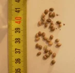 DSCN0603.webp