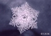 Emoto-Mozart.webp