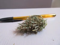 Taroudant Bud sec le 19-07.webp