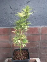 IMG_1321.webp IMG_1321.webp