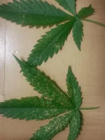 20141023_182542.webp 20141023_182542.webp